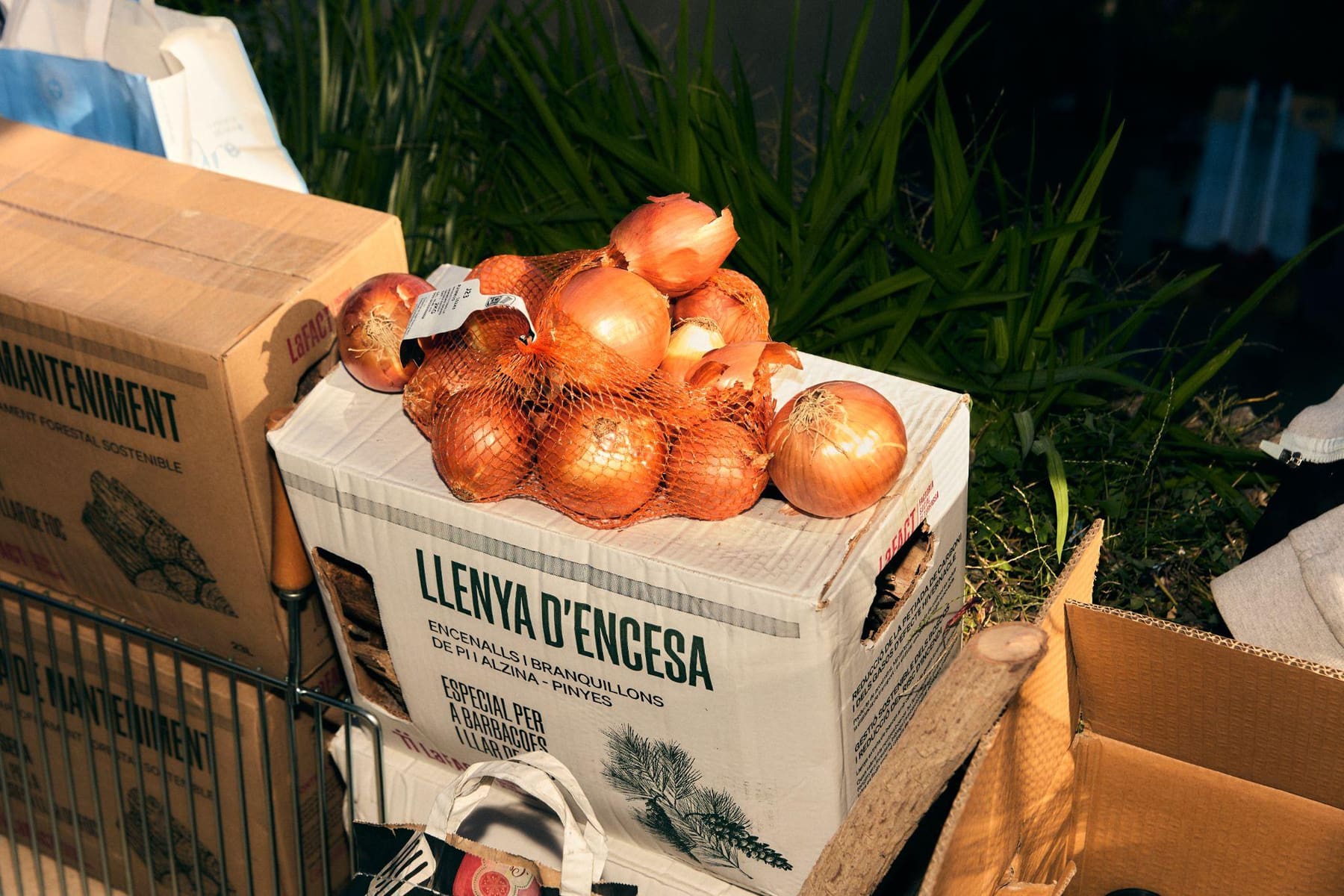 Ingredientes del asado
